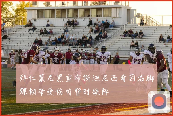 拜仁慕尼黑宣布斯坦尼西奇因右脚踝韧带受伤将暂时缺阵