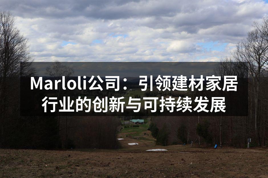 Marloli公司：引领建材家居行业的创新与可持续发展