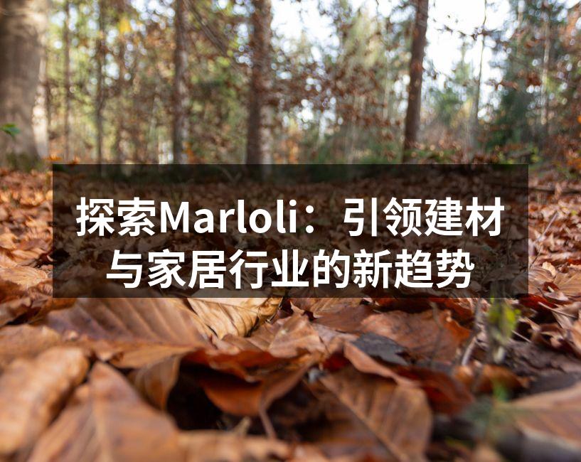 探索Marloli：引领建材与家居行业的新趋势